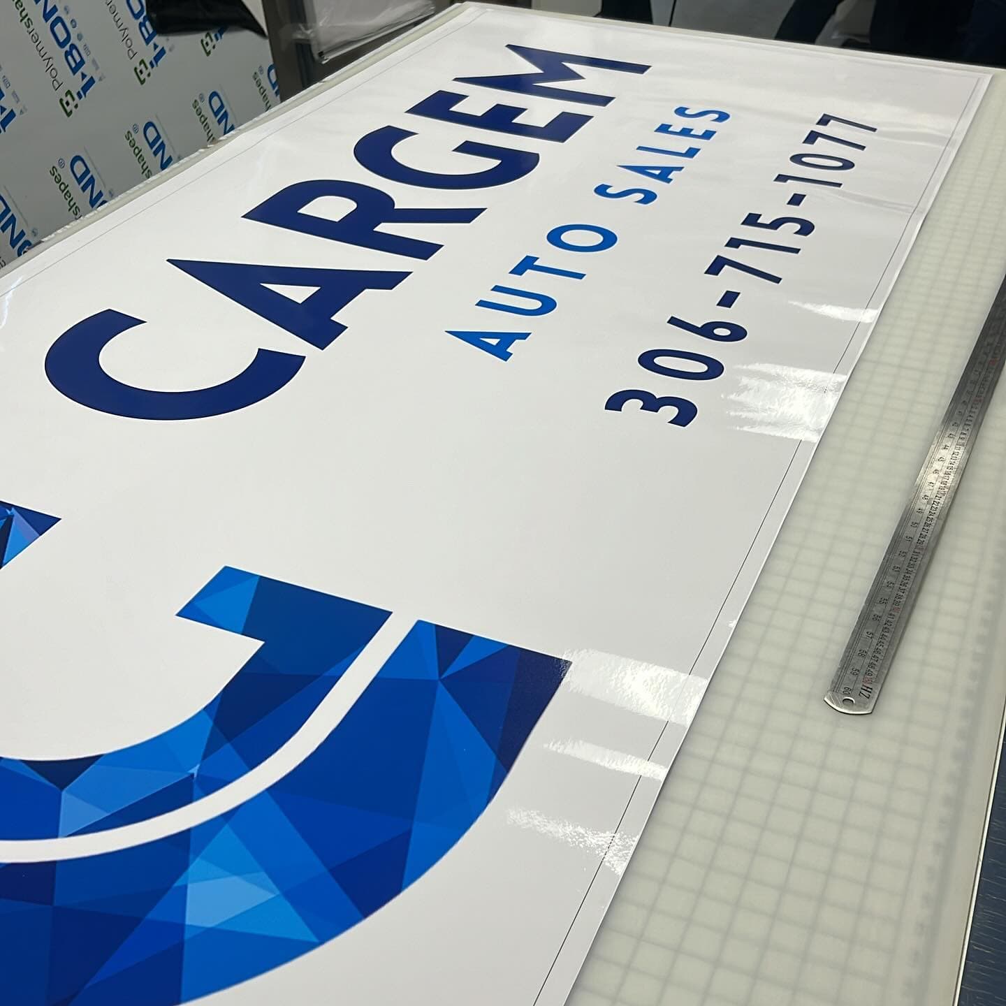 ACP Sign — CARGEM Auto Sales — True Color Display Printing Saskatoon